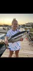 Thunnus atlanticus
