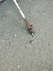 Sinomicrurus sauteri