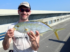 Caranx bartholomaei