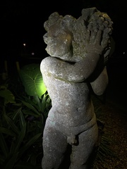 Racomitrium elongatum