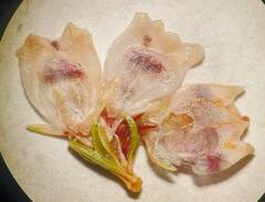 Erica quadrangularis