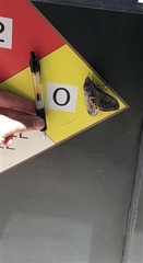 Gloveria arizonensis