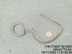 Atractus major