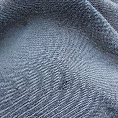 Phlaeothripidae