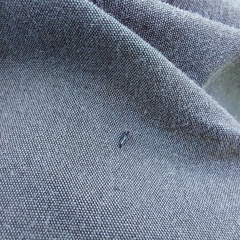 Phlaeothripidae