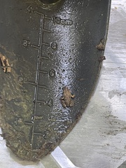 Eleutherodactylus coqui