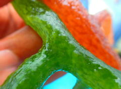 Kappaphycus alvarezii