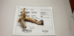 Clitopilus