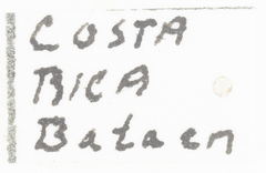 Colpoptera marginalis