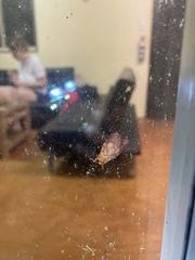 Miltochrista pyraula