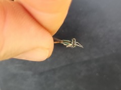 Agriocnemis falcifera