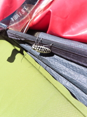 Plectrodera scalator