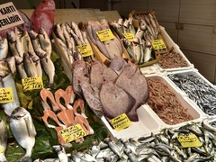 Scophthalmus maeoticus