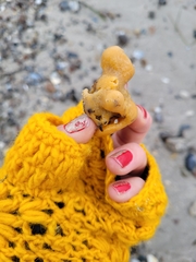 Halichondria panicea