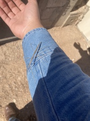 Parabacillus hesperus