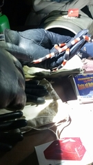 Micruroides euryxanthus euryxanthus