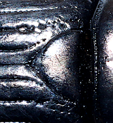 Geotrupes blackburnii