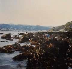 Cebidichthys violaceus