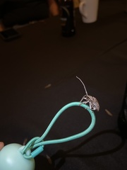 Crossotus stigmaticus