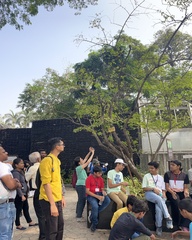 Parmentiera cereifera