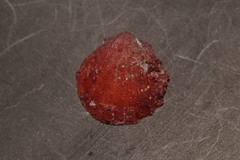 Spondylus gaederopus