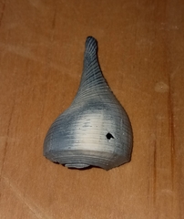 Fulguropsis pyruloides