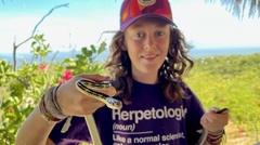 Masticophis aurigulus