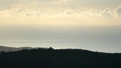 Eschrichtius robustus