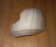 Fulguropsis pyruloides