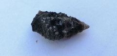 Cerithiidae