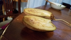 Kigelia