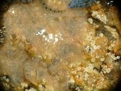 Aplidium glabrum