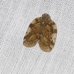 Aprivesa
