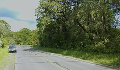 Lathyrus holochlorus