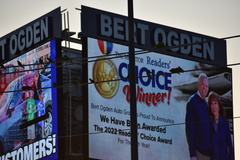 Psittacara holochlorus