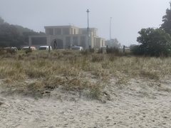 Charadrius obscurus aquilonius