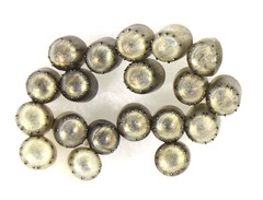 Cermatulus nasalis hudsoni