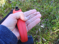 Rytidosperma tenuius