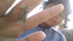Feltia subterranea