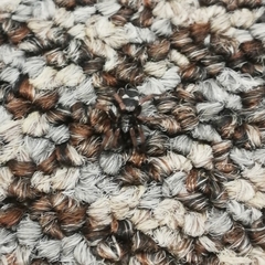Herpyllinae