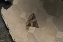 Bastilla