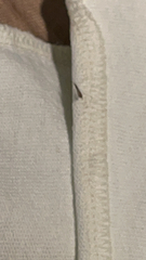 Sylvicola