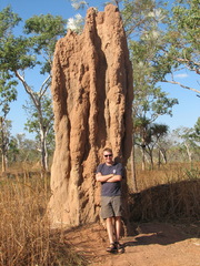 Nasutitermes triodiae