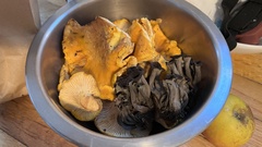 Craterellus calicornucopioides