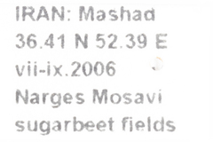 Laodelphax striatella