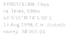 Laodelphax striatella