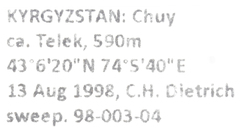 Laodelphax striatella