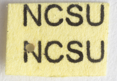 Opiconsiva albicollis