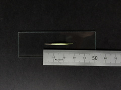 Rytidosperma racemosum