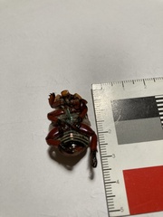 Anoplognathus montanus